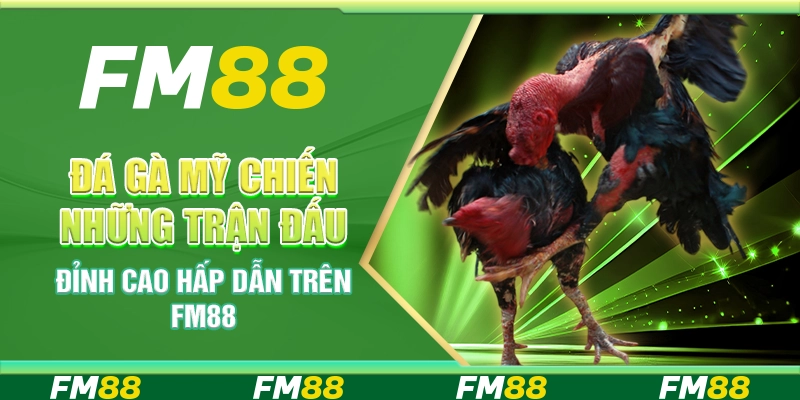 Đá Gà Mỹ Chiến Những Trận Đấu Đỉnh Cao Hấp Dẫn Trên FM88