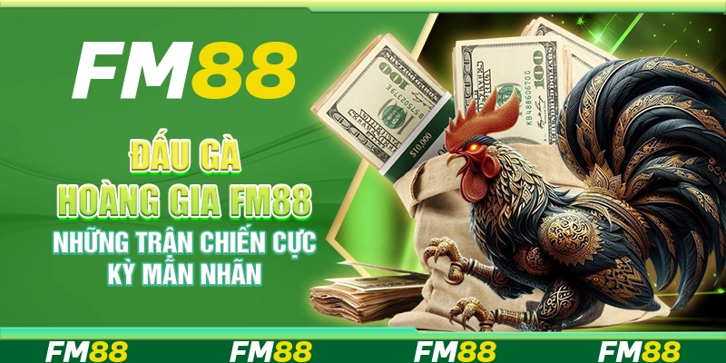 Đấu Gà Hoàng Gia FM88 - Những Trận Chiến Cực Kỳ Mãn Nhãn
