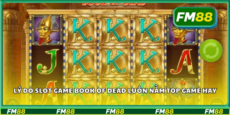 Lý do slot game Book of Dead luôn nằm top game hay