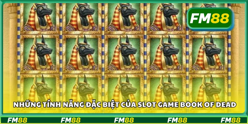 Những tính năng đặc biệt của slot game book of dead