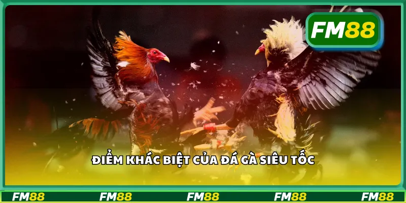 Điểm khác biệt của đá gà siêu tốc