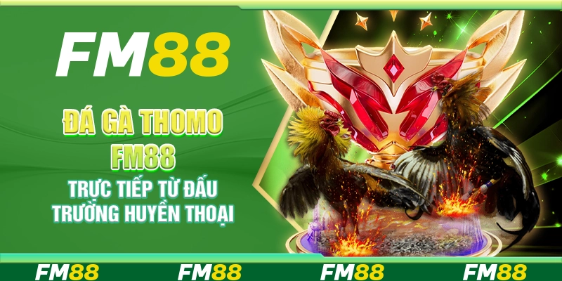 Đá gà Thomo FM88 – Trực tiếp từ đấu trường huyền thoại