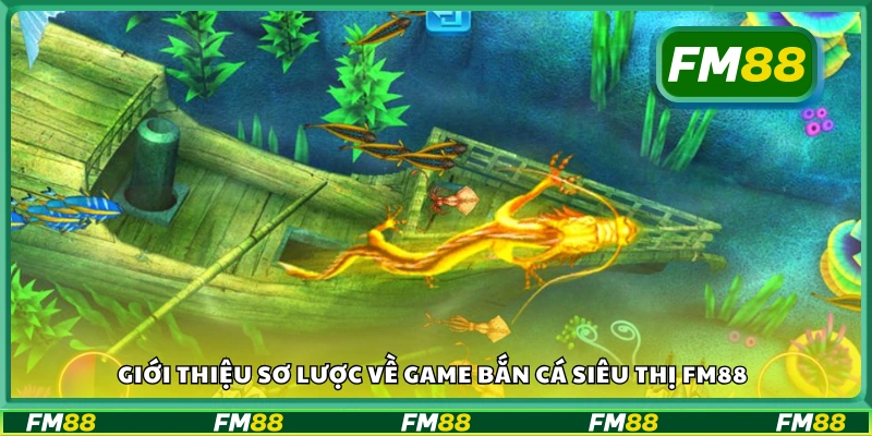 Sơ lược về game bắn cá siêu thị FM88