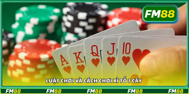 Cách chơi Xì Tố 7 cây kèm quy tắc cơ bản