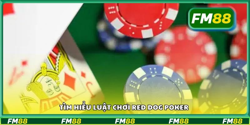 Vài nét về luật chơi Red Dog Poker