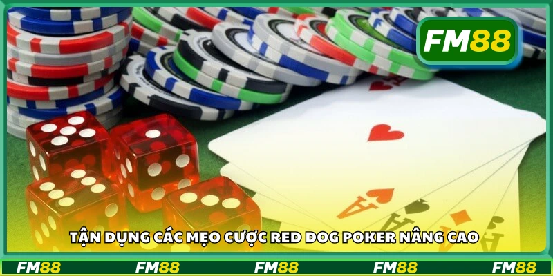 Các mẹo cược Red Dog Poker nâng cao hiệu quả