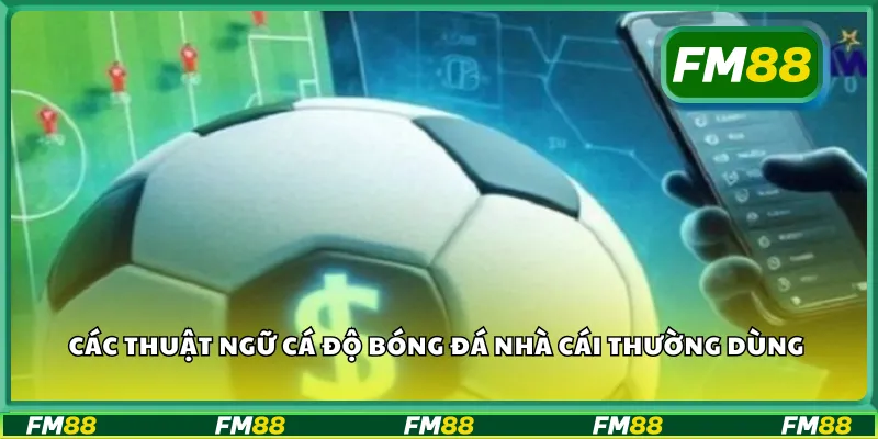 Các thuật ngữ cá độ bóng đá nhà cái thường dùng