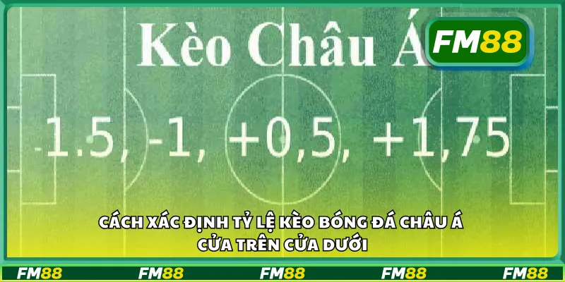 Cách xác định tỷ lệ kèo bóng đá châu Á cửa trên cửa dưới