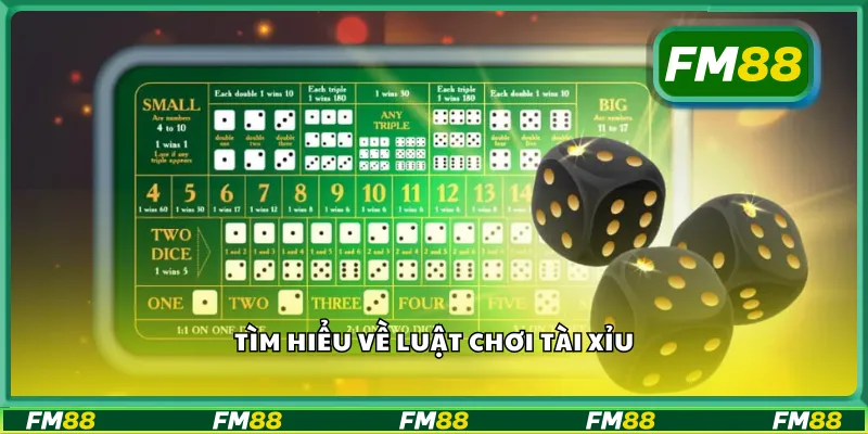 Giới thiệu cách cược tài xỉu chẵn lẻ
