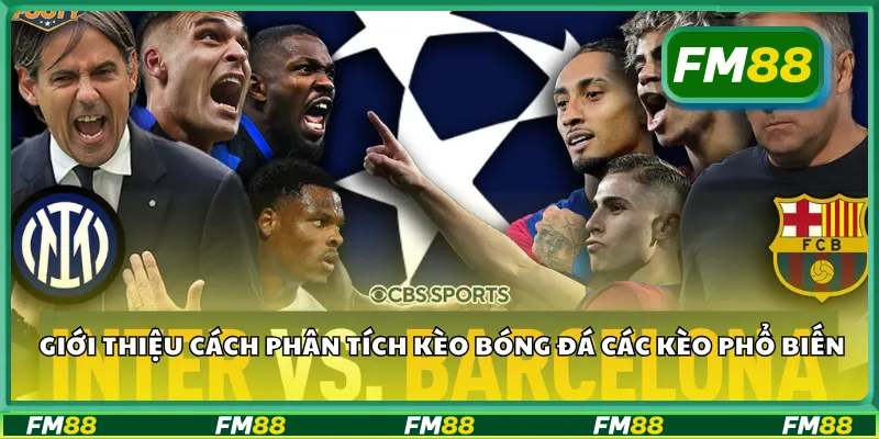 Giới thiệu cách phân tích kèo bóng đá các kèo phổ biến