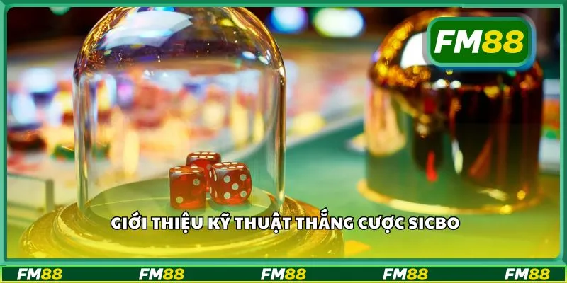 Giới thiệu kỹ thuật thắng cược Sicbo