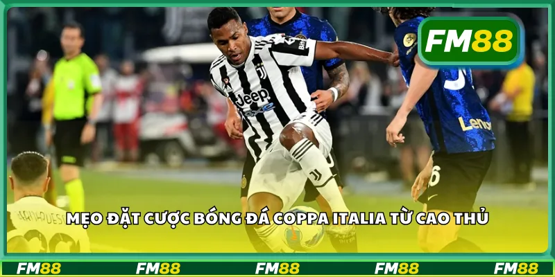 Mẹo đặt cược bóng đá Coppa Italia từ cao thủ