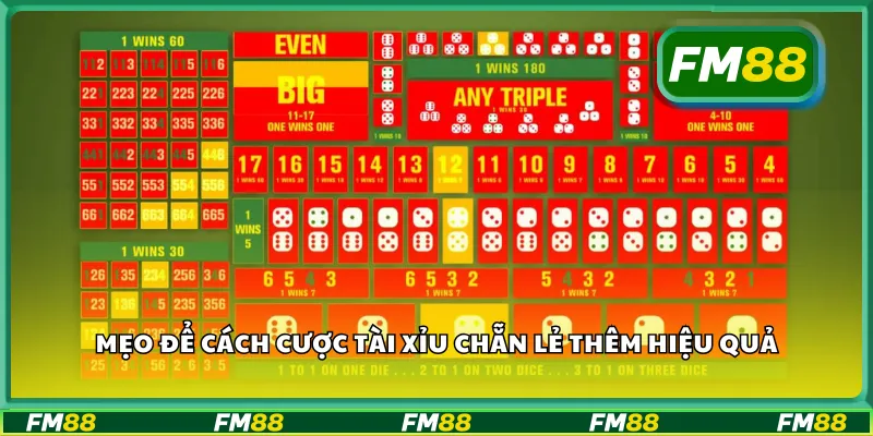 Mẹo để cách cược tài xỉu chẵn lẻ thêm hiệu quả