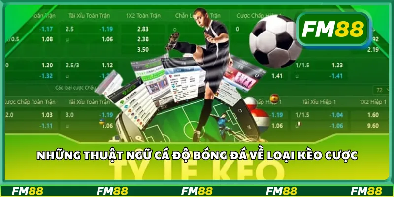 Những thuật ngữ cá độ bóng đá về loại kèo cược