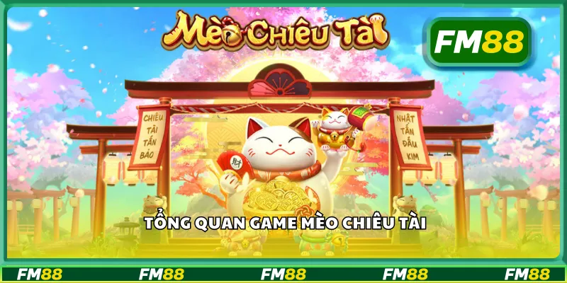 Tổng quan game mèo chiêu tài