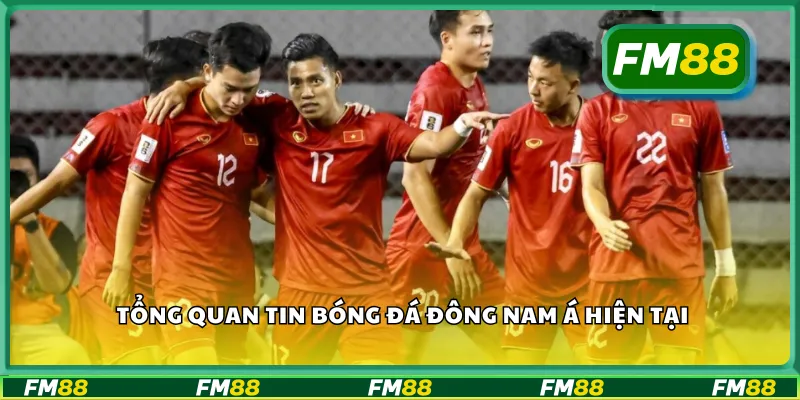 Tổng quan tin bóng đá Đông Nam Á hiện tại