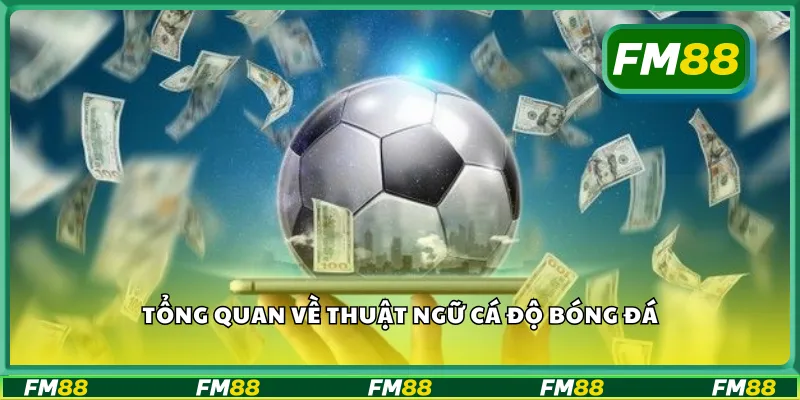 Tổng quan về thuật ngữ cá độ bóng đá