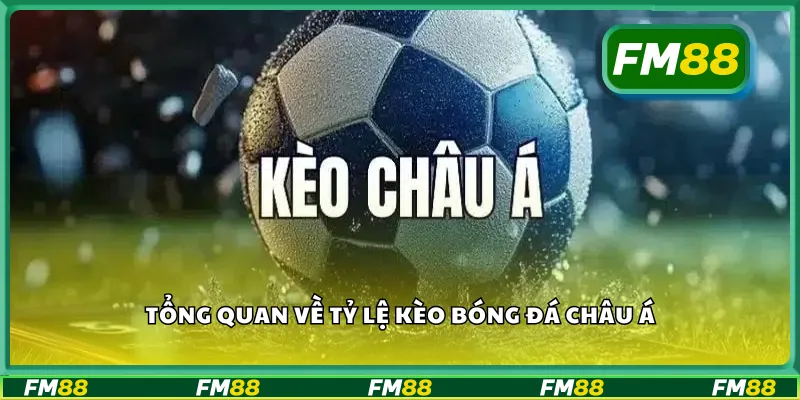 Tổng quan về tỷ lệ kèo bóng đá châu Á