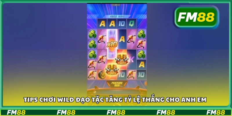 Tips chơi Wild Đạo Tặc tăng tỷ lệ thắng