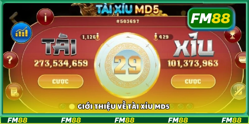 Sơ lược về Tài Xỉu MD5