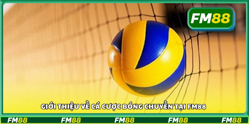 Bao quát về cá cược Bóng Chuyền tại FM88