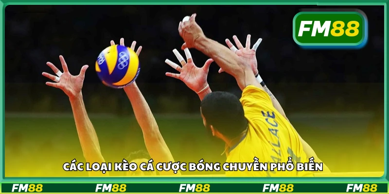 Một số loại kèo cá cược bóng chuyền phổ biến