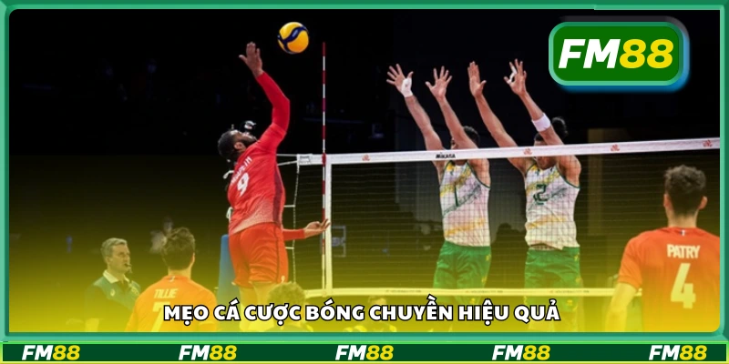 Các mẹo cá cược bóng chuyền hiệu quả