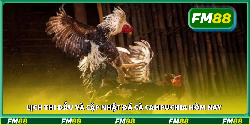 Lịch phát sóng và kết quả mới nhất về đá gà Campuchia