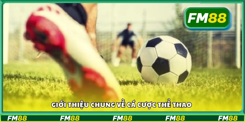 Cá cược thể thao là gì? Cách hoạt động và đặc điểm nổi bật
