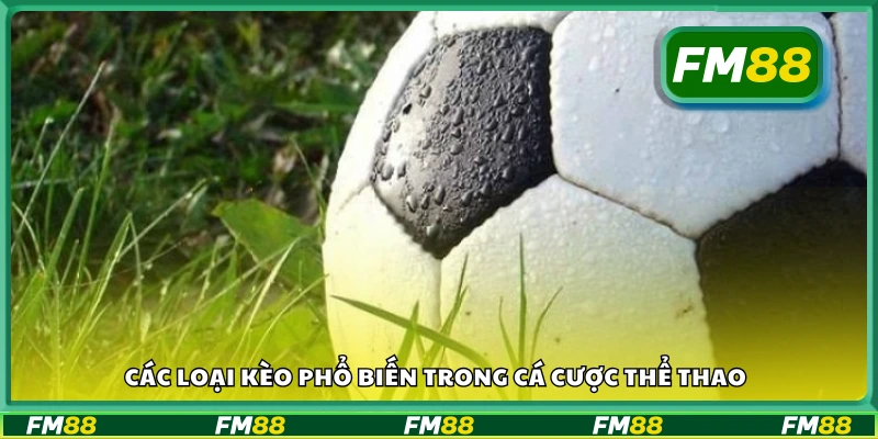 Những hình thức cược thể thao được người chơi ưa chuộng nhất