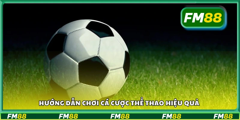 Cách chơi cá cược thể thao dễ hiểu và hiệu quả cho người mới