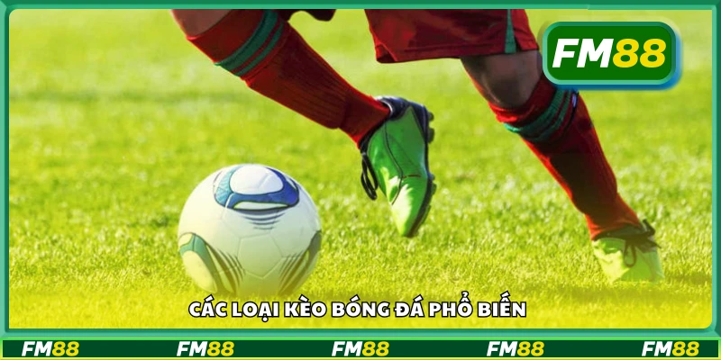Các hình thức cá cược bóng đá thông dụng hiện nay