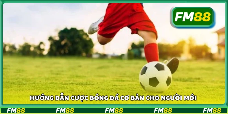 Hướng dẫn cược bóng đá cơ bản cho newbie