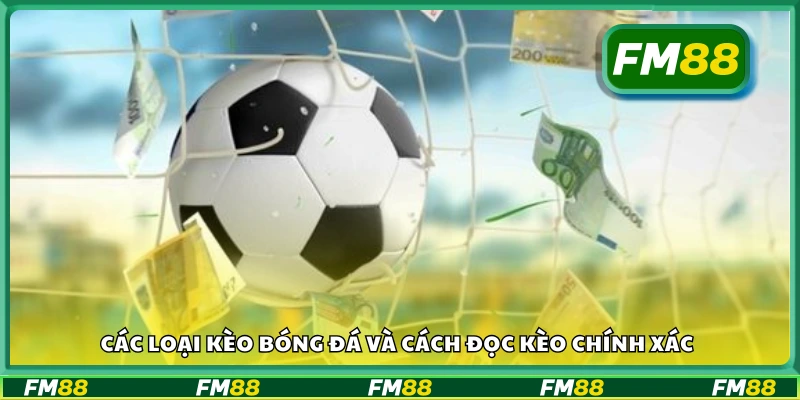 Một số loại kèo bóng đá và cách đọc kèo chính xác