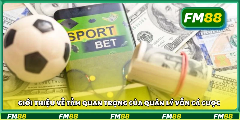 Vì sao phải quản lý vốn khi tham gia cá cược?