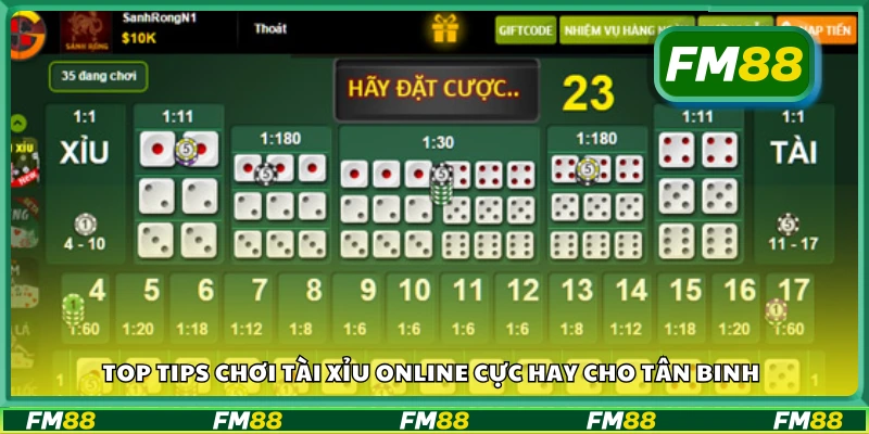 Top tips chơi Tài Xỉu Online cực hay cho tân binh